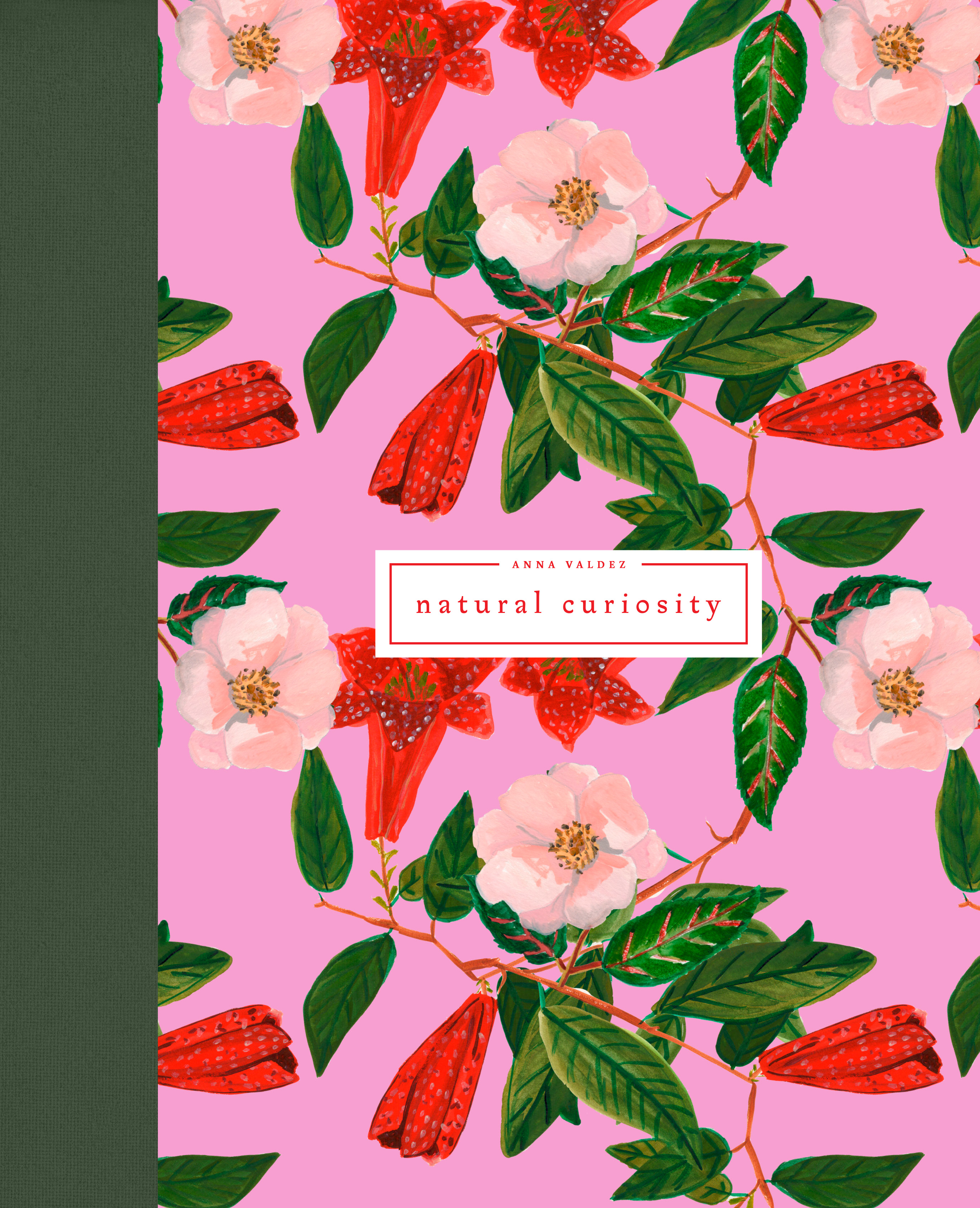 valdez-front_cover-mockup-crop